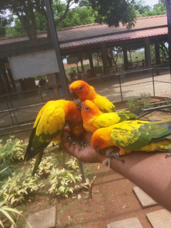 Amawin Resort Hambantota Dış mekan fotoğraf